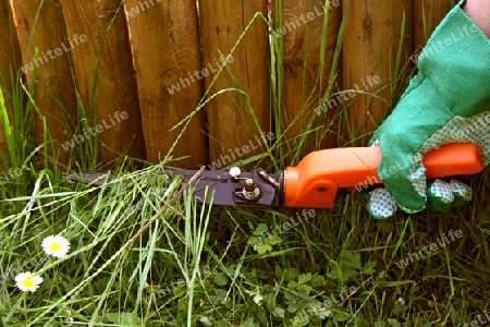 Hand im Detail die eine Graskante schneidet