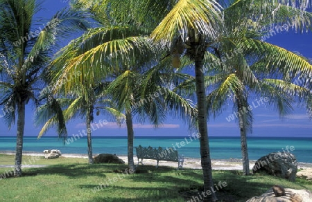 a beach on the coast of Varadero on Cuba in the caribbean sea.