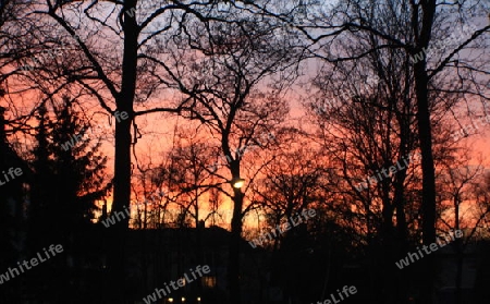 sonnenuntergang im wald