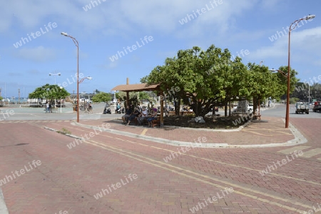 zentraler Platz am Hafen von Puerto Ayora,  Insel Santa Cruz, Indefatigable Island, Galapagos Archipel, Unesco Welterbe,  Ecuador, Suedamerika