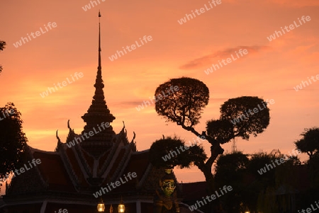 Der Wat Arun Tempel in der Stadt Bangkok in Thailand in Suedostasien.