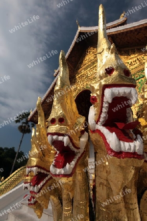 Der Koenigspalast in der Altstadt von Luang Prabang in Zentrallaos von Laos in Suedostasien. 