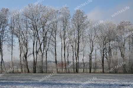 Winterlandschaft