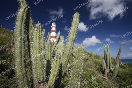 Suedamerika, Karibik, Venezuela, Isla Margarita, Pedro Gonzalez, Die Landschaft mit dem Leuchtturm und Kaktus Pflanzen beim Fischerdorf Pedro Gonzalez an der Karibik auf der Isla Margarita.   