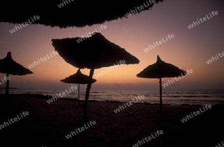 Ein Sandstrand auf der Insel Jierba im Sueden von Tunesien in Nordafrika.