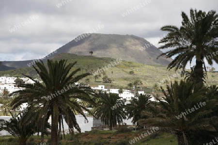 The volcanic Hills near the Village of Haria on the Island of Lanzarote on the Canary Islands of Spain in the Atlantic Ocean.
