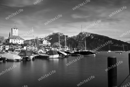 Thunersee im Herbst mit Spiezer Schloss