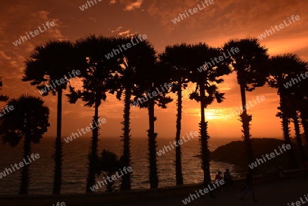 Der Aussichtspunkt Kap Promthep bei der Rawai Beach im sueden der Insel Phuket im sueden von Thailand in Suedostasien.