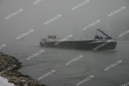 Morgennebel am Rhein