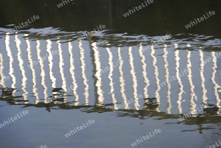 silhouette in the river