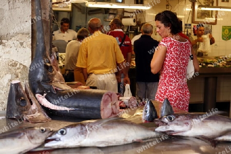 the fish market in the old Town of Siracusa in Sicily in south Italy in Europe.