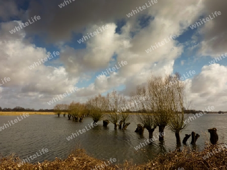 Hochwasser 