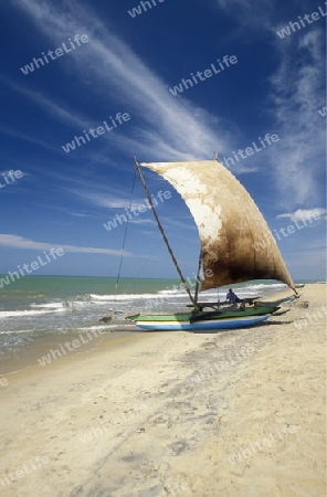 Asien, Indischer Ozean, Sri Lanka,
Ein traditionelles Fischerboot mit Fischern im Kuestendorf Negombo an der Westkueste von Sri Lanka. (URS FLUEELER)






