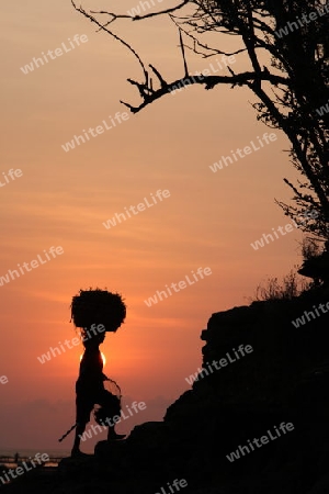 Asien, Indonesien, Bali, Nusa Lembongan, Seegras, Arbeit, Alltag,
Sonnenuntergang in der Seegras Plantage an der Kueste der Insel Nusa Lembongan bei Bali im osten von Indonesien.       (Urs Flueeler) 