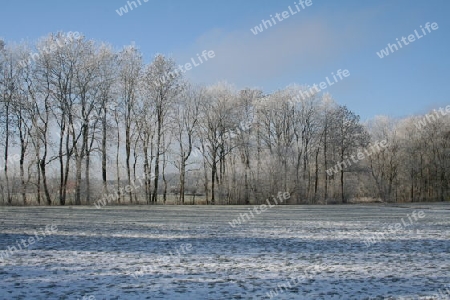 Winterlandschaft