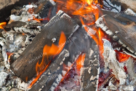 Lagerfeuer im Detail