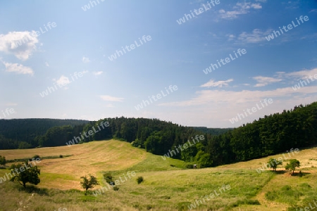 Sommerlandschaft bei Seitenroda