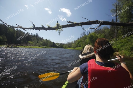 Kanu Fahren auf den Fluss Gauja in Sigulad oestlich von Riga der Hauptstadt von Lettland im Baltikum in Osteuropa.  