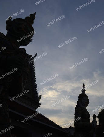 Der Wat Arun Tempel in der Stadt Bangkok in Thailand in Suedostasien.