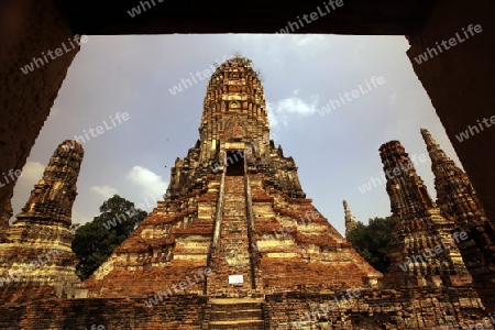 Der Wat Chai Wattanaram Tempel in der Tempelstadt Ayutthaya noerdlich von Bangkok in Thailand.