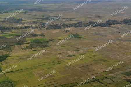 The Landscape with a ricefield near the City of Siem Riep in the west of Cambodia.