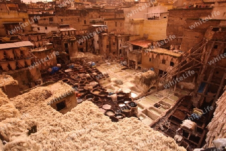 The Leather production in the old City in the historical Town of Fes in Morocco in north Africa.