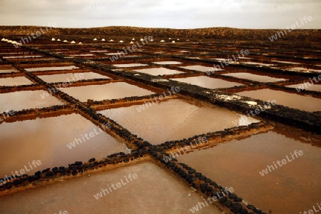 the Salinas of Las Salinas on the Island Fuerteventura on the Canary island of Spain in the Atlantic Ocean.