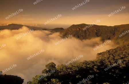 The landscape allround the Grand Bassin on the Island of La Reunion in the Indian Ocean in Africa.