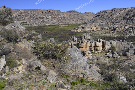 Blick in der Landschaft der Cederberg Wilderness Area bei Clanwilliam, West Kap, Western Cape, S?dafrika, Afrika