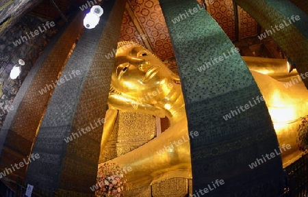 Der Liegende Buddha in der Tempelanlage des Wat Pho in der Hauptstadt Bangkok von Thailand in Suedostasien.