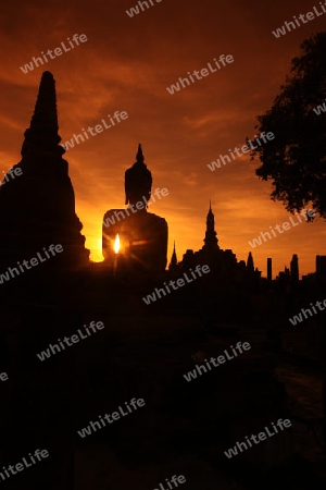 Eine Buddha Figur  im Wat Mahathat Tempel in der Tempelanlage von Alt-Sukhothai in der Provinz Sukhothai im Norden von Thailand in Suedostasien.