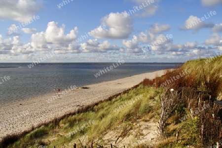 Abendsonne an der Nordsee