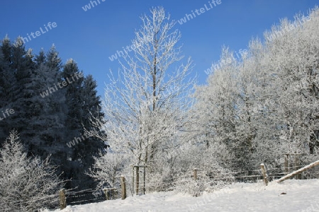 Winterstimmung mit Schnee