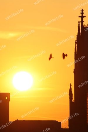 Sonnenuntergang am K?lner Dom