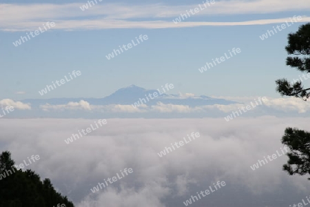 Teide