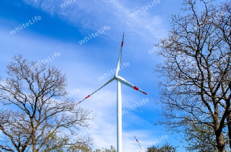 Panoramic view on alternative energy wind mills in a windpark