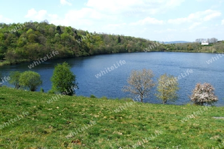 Weinfelder Maar oder Totenmaar