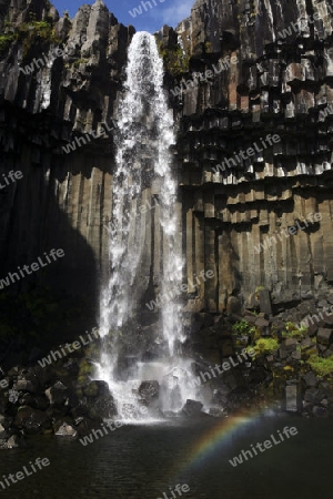 Svartifoss