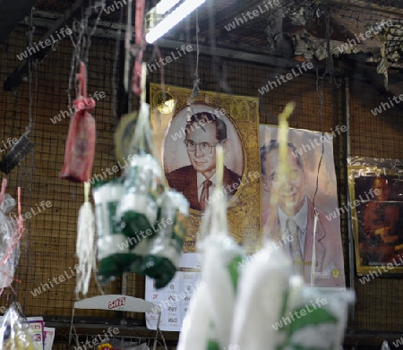 Ein Bild des Thailaendischen Koenig Bhumibol in den Strassen von Bangkok , der Hauptstadt von Thailand in Suedostasien, 