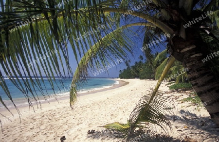 Asien, Indischer Ozean, Sri Lanka,
Ein Traumstrand beim Kuestendorf Hikkaduwa an der Suedwestkueste von Sri Lanka. (URS FLUEELER)






