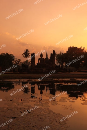 Eine Buddha Figur  im Wat Mahathat Tempel in der Tempelanlage von Alt-Sukhothai in der Provinz Sukhothai im Norden von Thailand in Suedostasien.