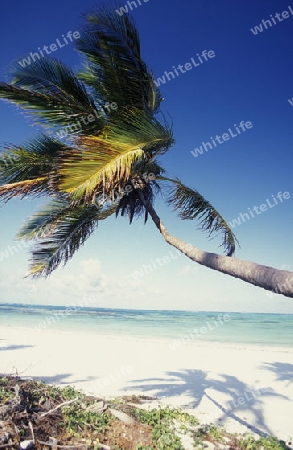 Der Traumstrand  von Michamvi am Chwaka Bay an der Ost-Kueste auf der Insel Zanzibar welche zu Tansania gehoert.         