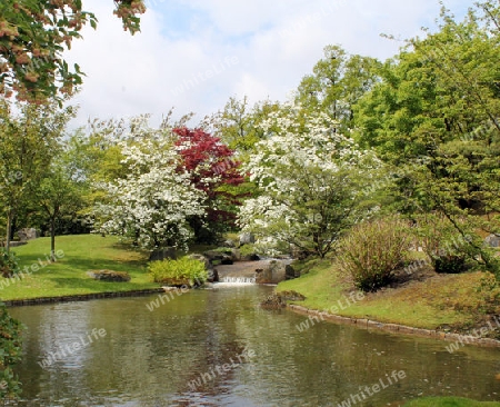 Japanischer Garten in Hasselt, Belgien