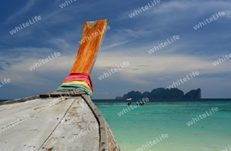 A Beach on the Island of Ko PhiPhi on Ko Phi Phi Island outside of the City of Krabi on the Andaman Sea in the south of Thailand. 