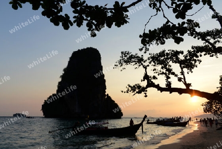 The Hat Phra Nang Beach at Railay near Ao Nang outside of the City of Krabi on the Andaman Sea in the south of Thailand. 