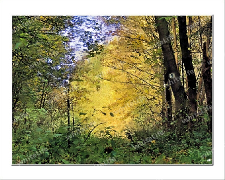 S...Si vous cherchez le Sentier.