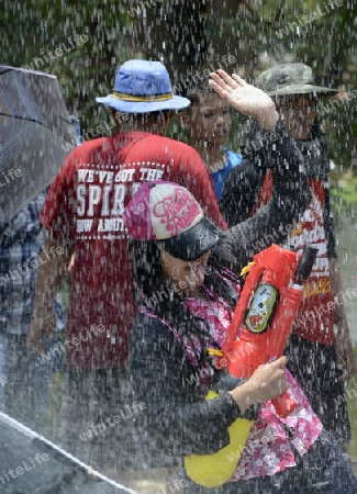 Das Songkran Fest oder Wasserfest zum Thailaendischen Neujahr ist im vollem Gange in Ayutthaya noerdlich von Bangkok in Thailand in Suedostasien.  