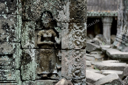 The Temple of  Preah Khan in the Temple City of Angkor near the City of Siem Riep in the west of Cambodia.