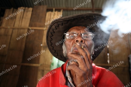 Asien, Suedostasien, Ost Timor, Timor-Leste, Timor, Maubisse, Bergregion, Minderheiten, Haus, Alltag,Mann, Alt,
Ein Alter Mann in einem Bergdorf bei Maubisse in der Bergregion in Ost Timor in Suedost Asien.       (Urs Flueeler) 