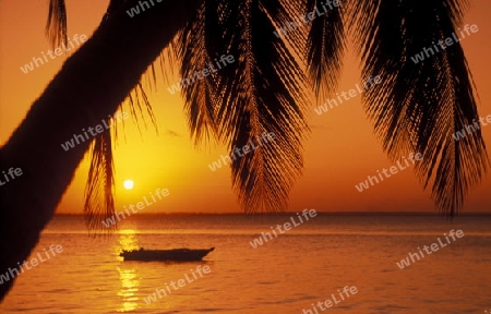 Ein Traumstrand in Bwejuu im osten der Insel Zanzibar im Indischen Ozean in Tansania in Afrika.